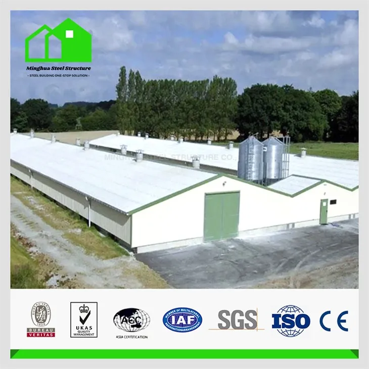 Steel Structure Sheep Farm